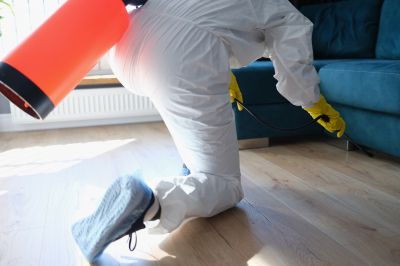 Commercial Fumigation in Ann Arbor, MI