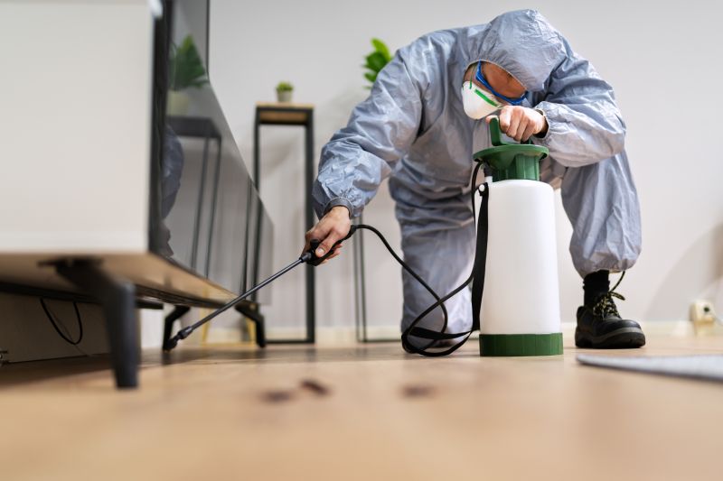 Roach Fumigation in West Palm Beach, FL