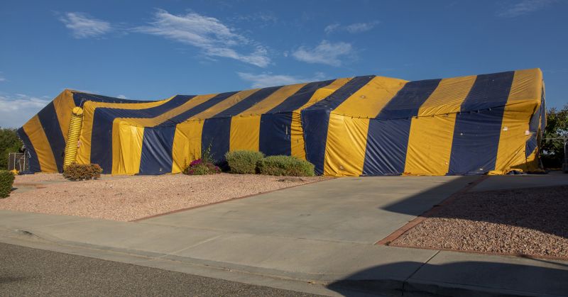 Termite Tenting in Gwinnett County, GA
