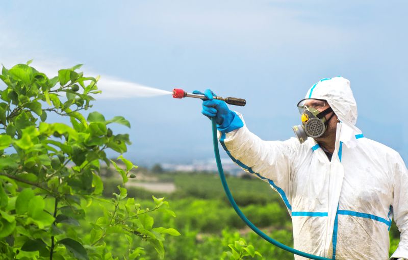 Pest Fumigation Service in West Palm Beach, FL
